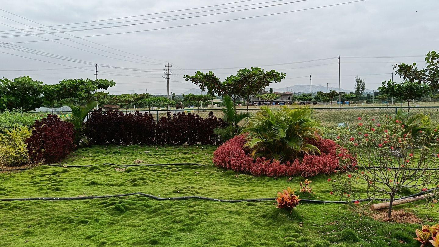 Infrastructure works by Behl Construction Company